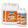 HY-GEN COCO BLOOM A&B