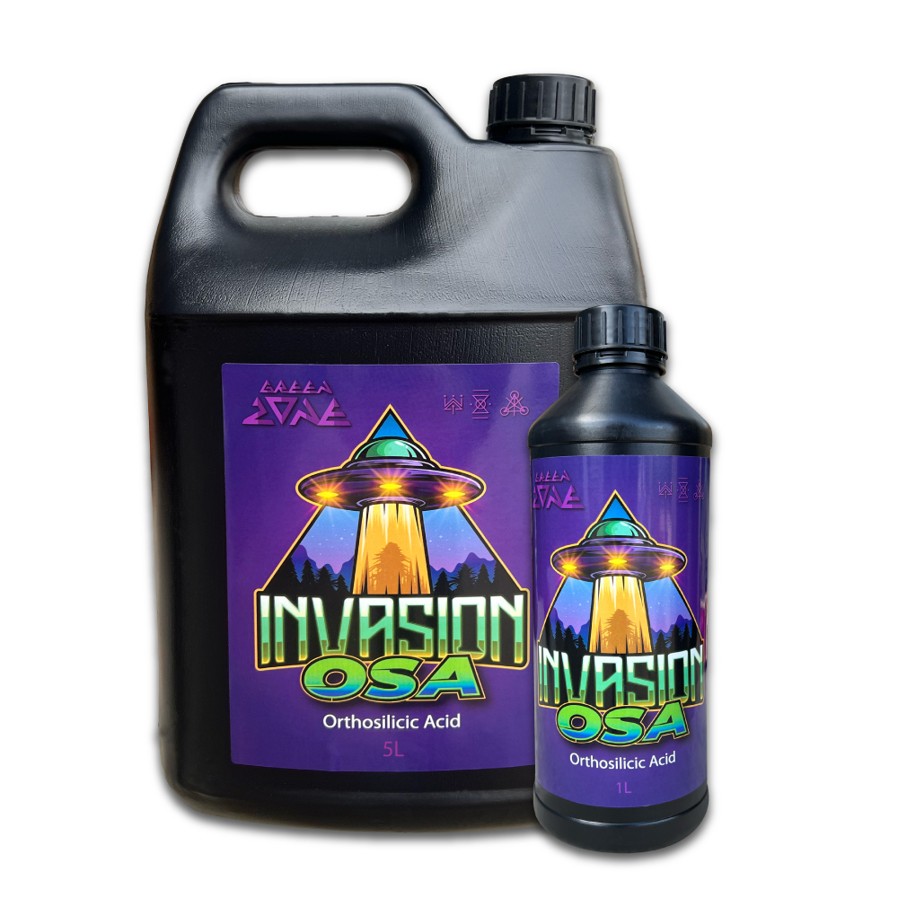 INVASION OSA
