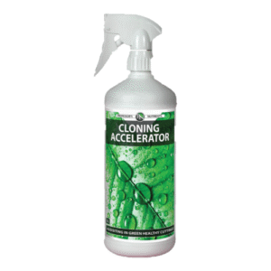 Professor's Cloning Accelerator