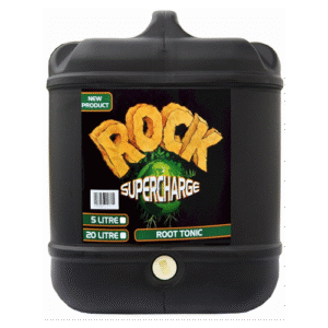 Alternative view of ROCK SUPERCHARGE ROOT TONIC