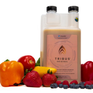 TRIBUS ORIGINAL MICROBIAL INOCULANT - Image 6