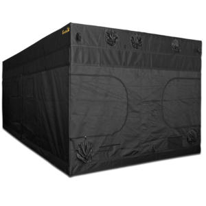 Alternative view of GORILLA GROW TENT 10X20