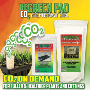 Alternative view of GREEN PAD JUNIOR -10 pack