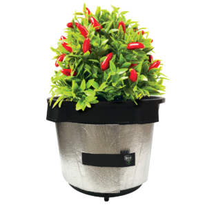 Alternative view of POT SHIELD