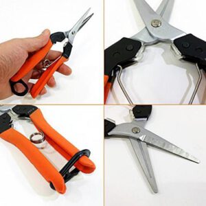 SABOTEN PT-6 HARVEST SCISSORS - Image 2