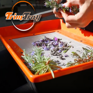 TRIM TRAY KIT - Image 3